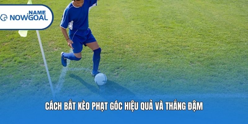 Cách bắt kèo phạt góc hiệu quả và thắng đậm