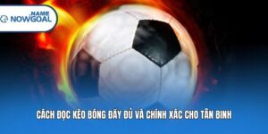 Cách Đọc Kèo Bóng Đầy Đủ Và Chính Xác Cho Tân Binh