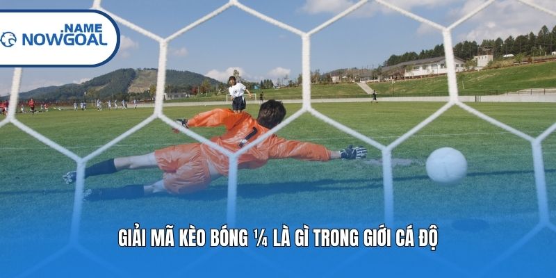 Giải mã kèo bóng ¼ là gì trong giới cá độ