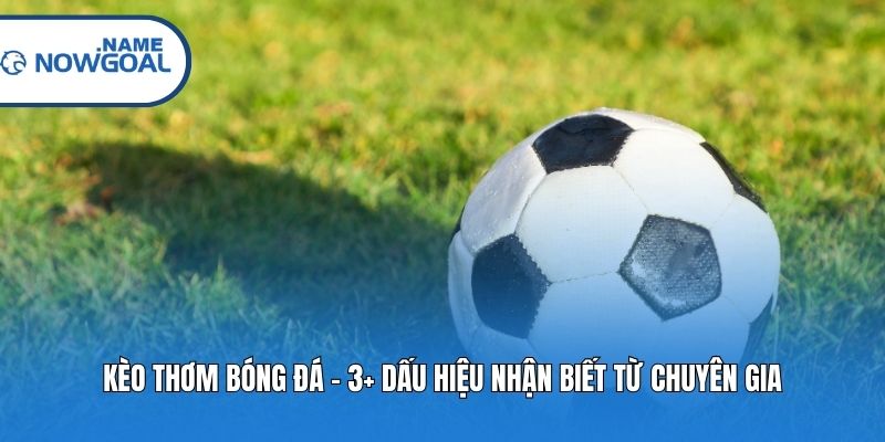 Kèo Thơm Bóng Đá – 3+ Dấu Hiệu Nhận Biết Từ Chuyên Gia