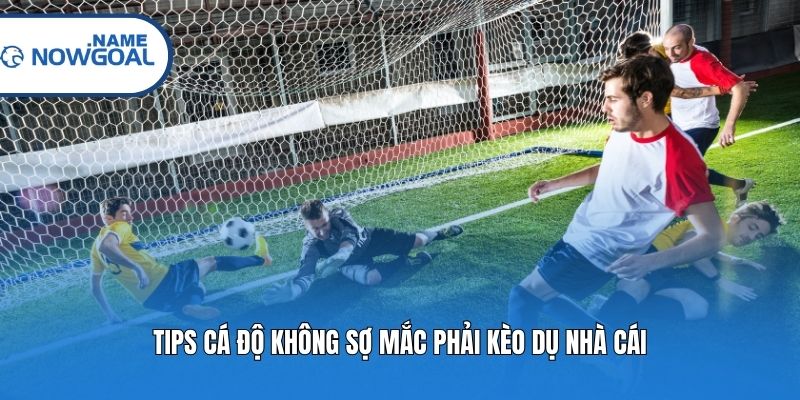 Tips cá độ không sợ mắc phải kèo dụ nhà cái