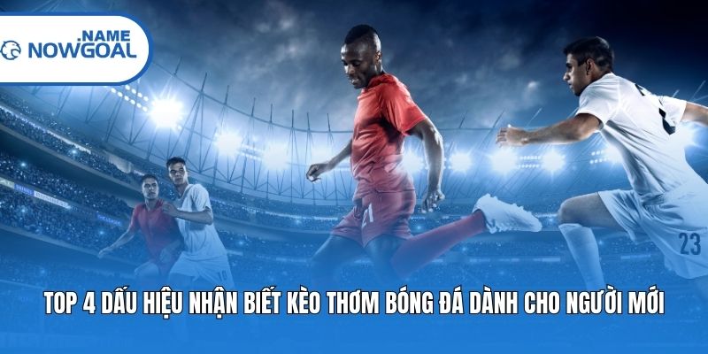 Top 4 dấu hiệu nhận biết kèo thơm bóng đá dành cho người mới
